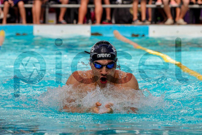 Photo of vfkbx8pf84db8wdtdccellt0