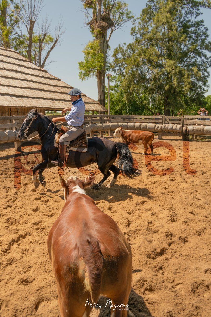 Photo of r077k7gcaihb08b3n5rho99y