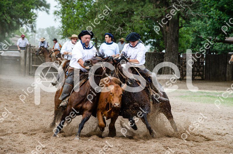 Photo of j1nq616zu19nwvccaevket57