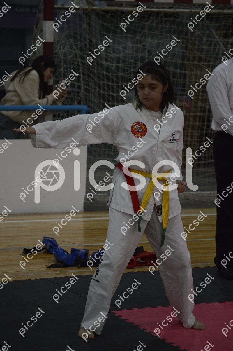 Photo of f6b1tuvvmq5gu7mq0v8h006h