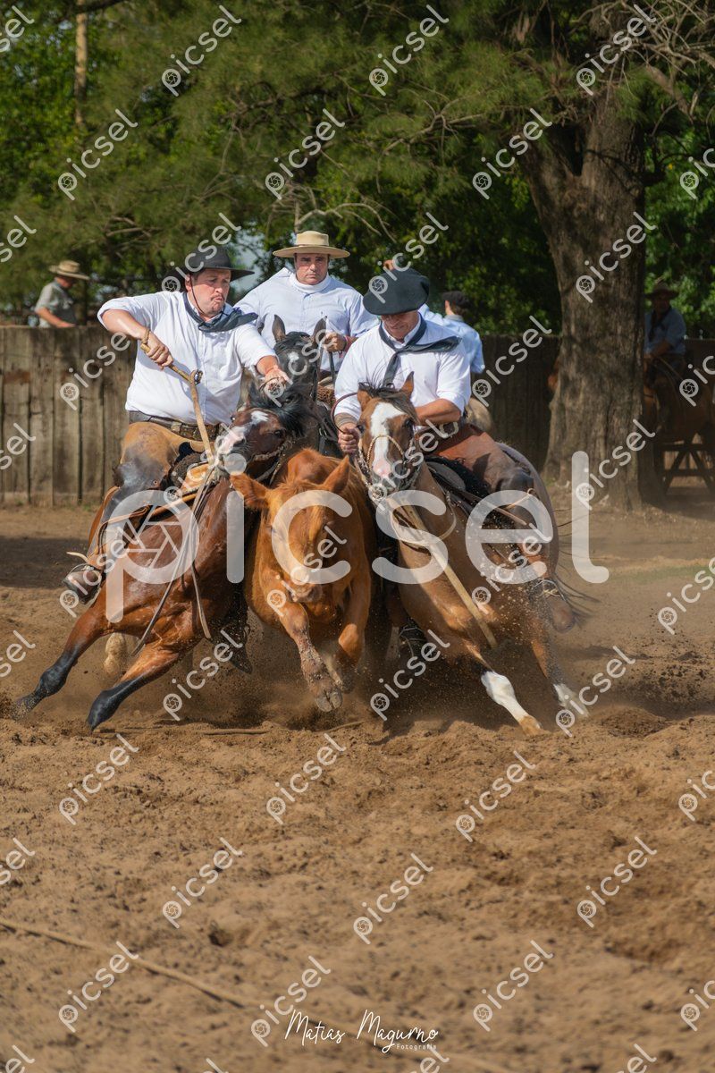 Photo of tnsgd4z3ialwsvaevttvpfmv