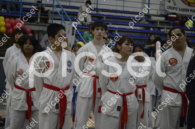 Photo of b362veu1qcolvdv1vxwnz174