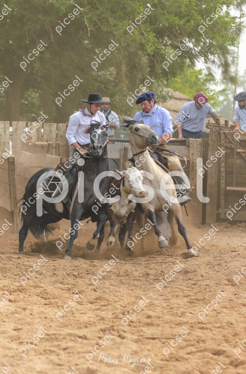 Photo of bzfs2yeyupozccjysq8ngk0j