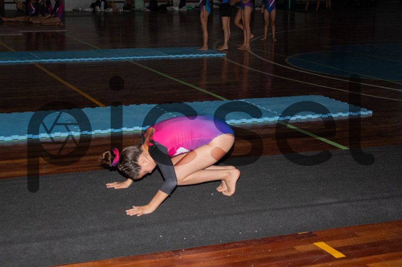 Photo of gg6kv4j67gv4tqj41g27euhc