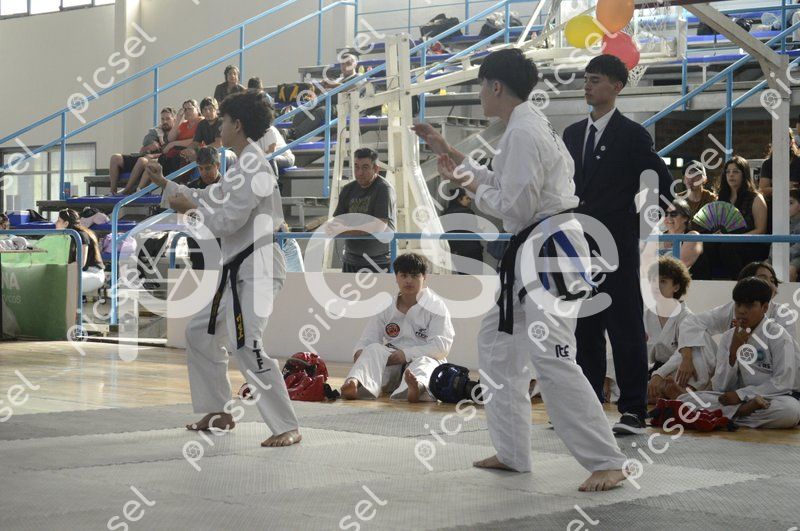 Photo of zr9fazt0r0jradx7v2t4v0kn