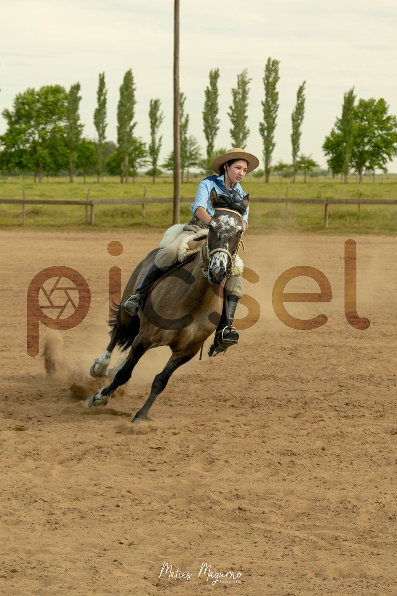 Photo of h2pm0808wjs2v64z8mvio8d7