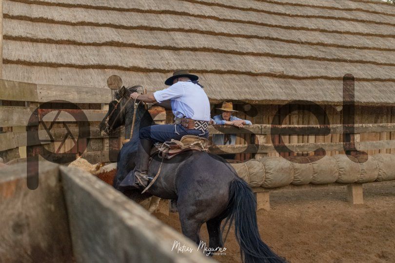 Photo of xzhg98211i19dkj67u86mnr3