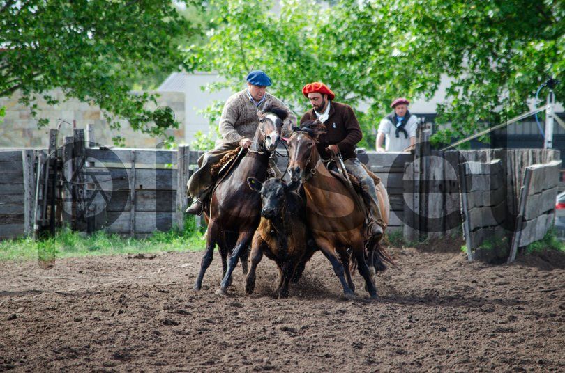 Photo of rz3317ye6usty3g442wrjyou