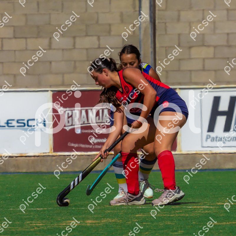 Photo of sgarp1eshq9e4tyl84eucqql