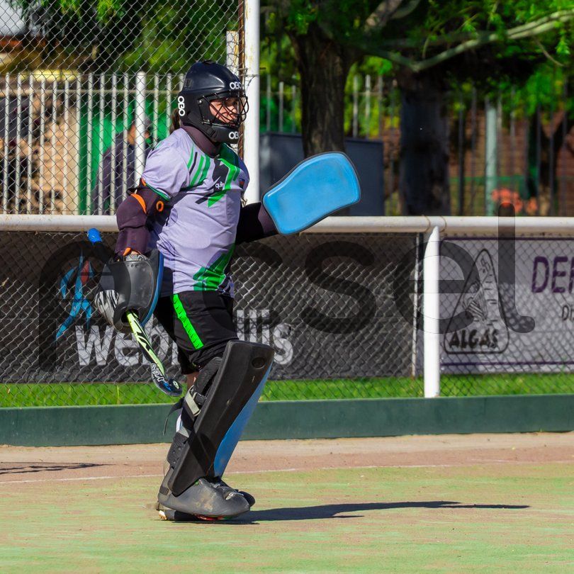 Photo of c8dledtbr70sb09o7hps263p