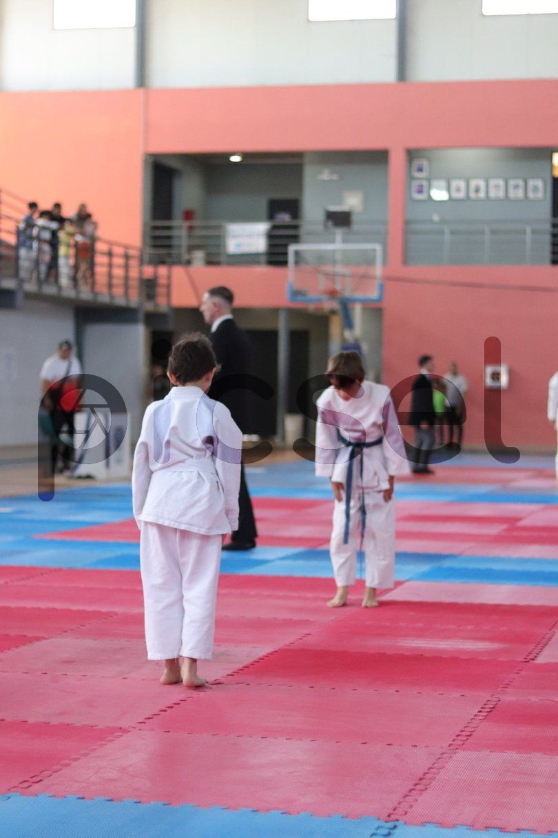 Photo of mvm8vqktfh4z77s02lmioi8k