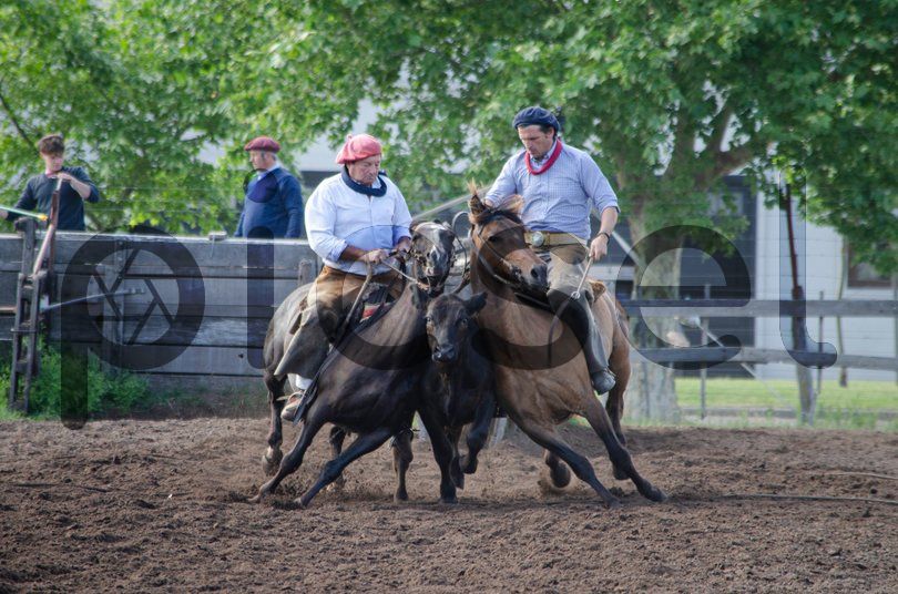 Photo of bsaw6hay0ew3o7mhkice910m