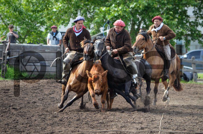 Photo of tencvjq6kgxvqtktwr71emmz