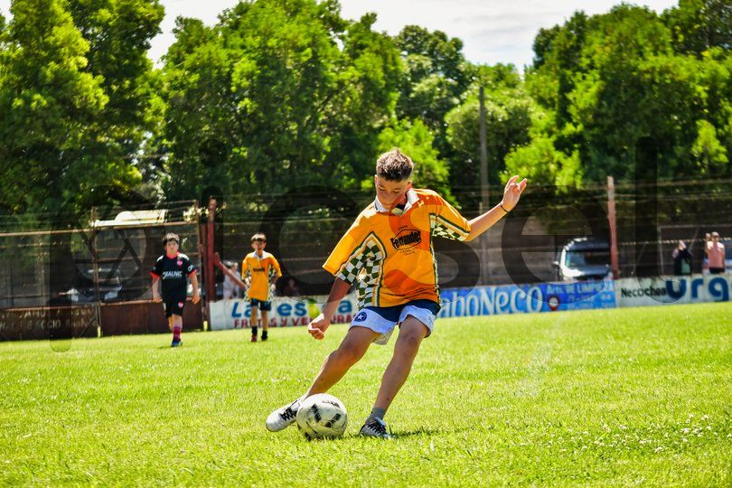 Photo of ptuj6v32avrfpr2mhdwm41pz