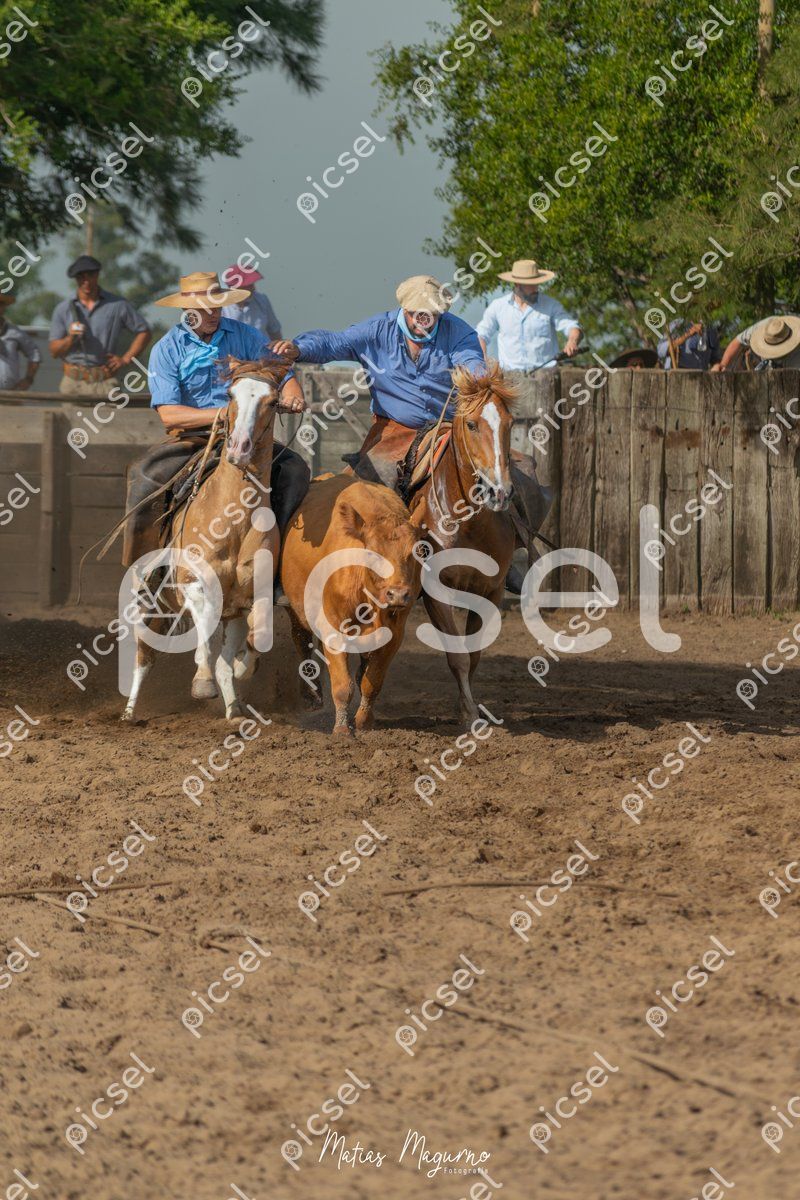 Photo of xfijsmgpg8rl6dejqughigm7