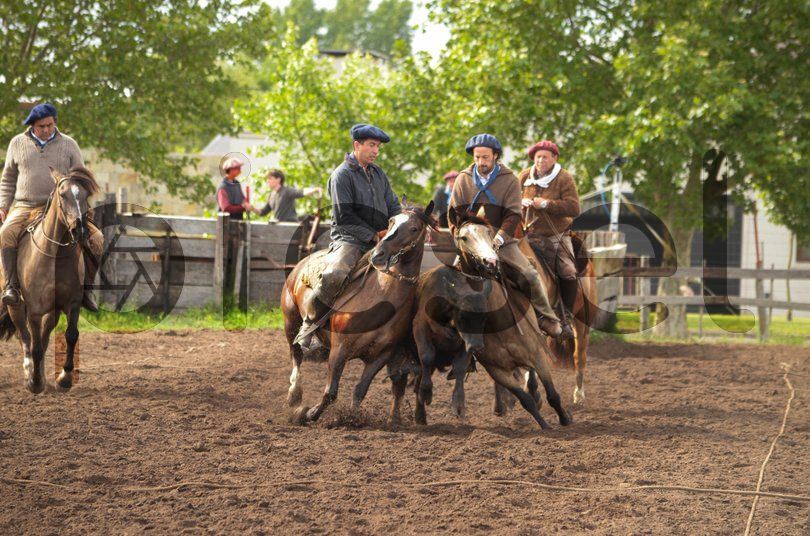 Photo of pndzo65b8qy5pz49uktjsz5z