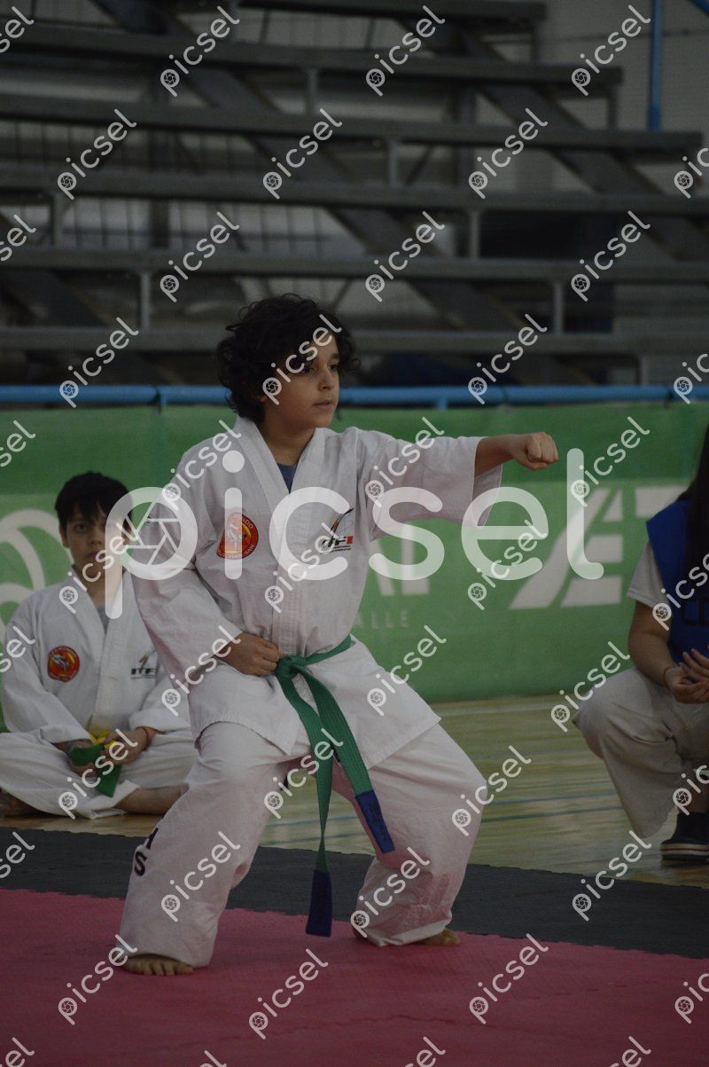 Photo of ju9e9a03k1tpd9xkm7l7yr0i