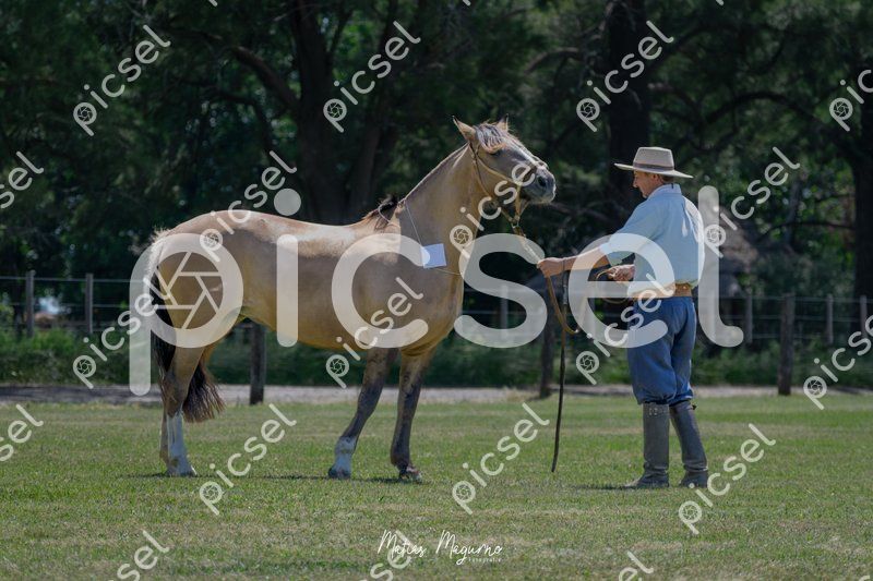 Photo of b25mxy76wged4h4n0xtbnu8o