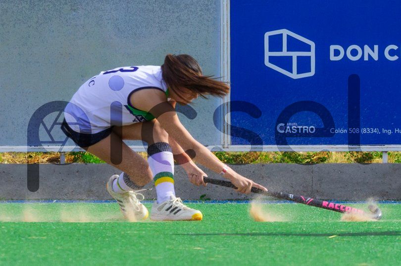 Photo of va352f081g6qg4fc2vd1wjdc