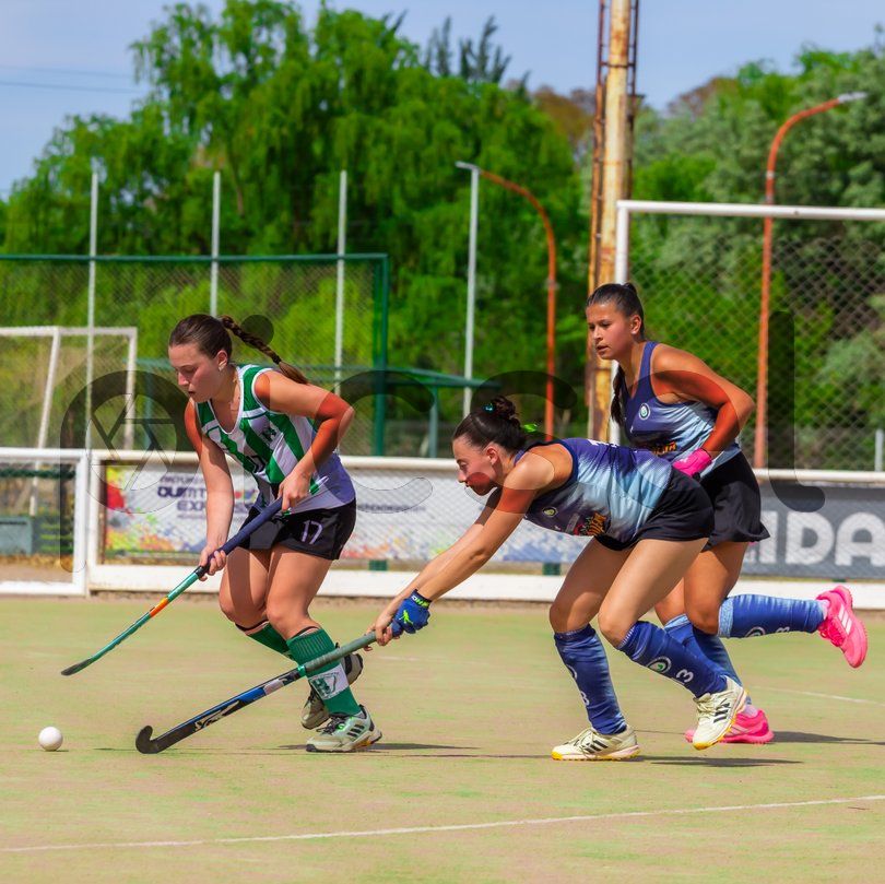 Photo of rgfbpbsh1fyw1mrdjo6igldd