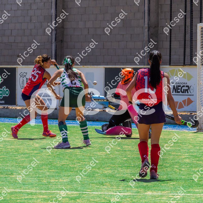 Photo of qtfe7x9mj6j7r358s8k9jelx