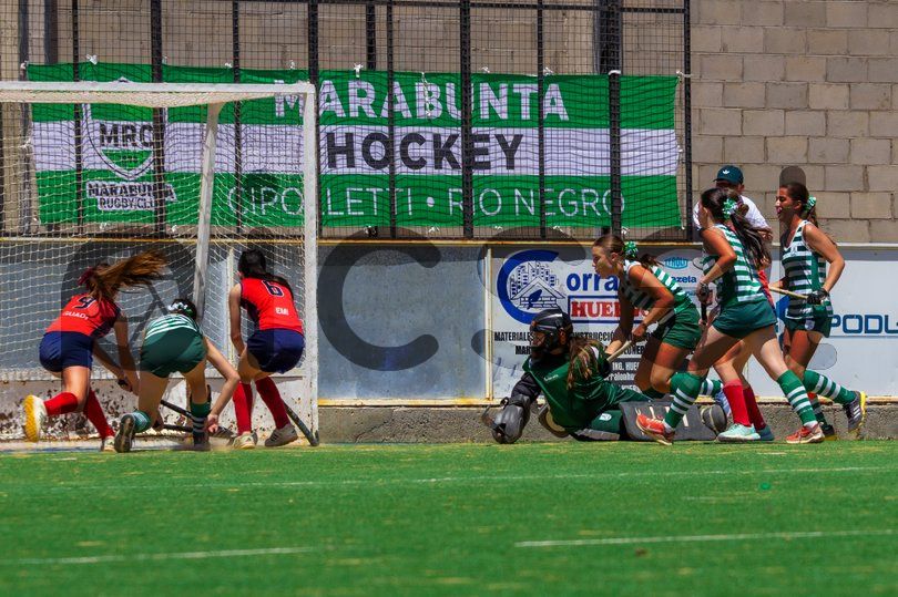 Photo of qtt3kn56en4nbiv09lamgnob