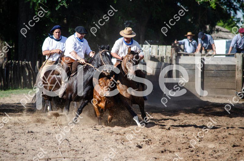 Photo of xxmldxjb3se1y2x6pajwykf1