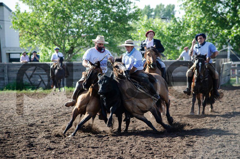 Photo of bwqtwl752hlkdnwon6bzph86