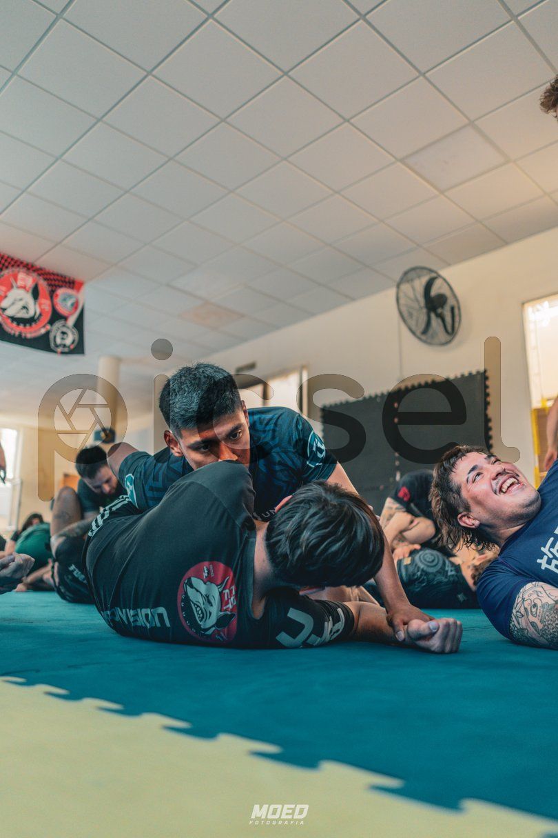 Photo of sv6at0l1d48wdc725ot6gar1