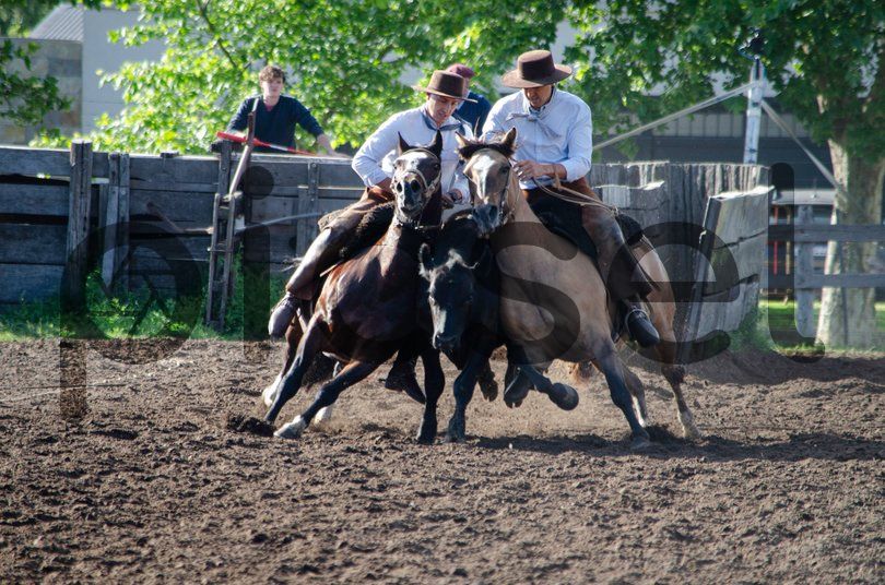 Photo of ciljwxzvd71hfhnth0sf1sno