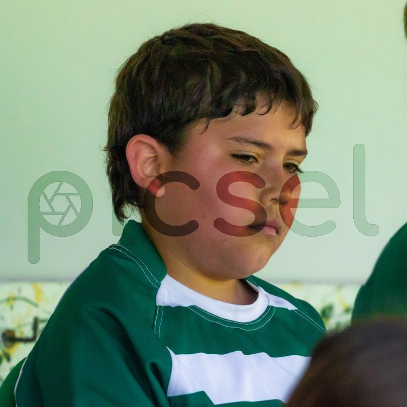 Photo of yztsy2rlbveom7ovqdkf6ip2