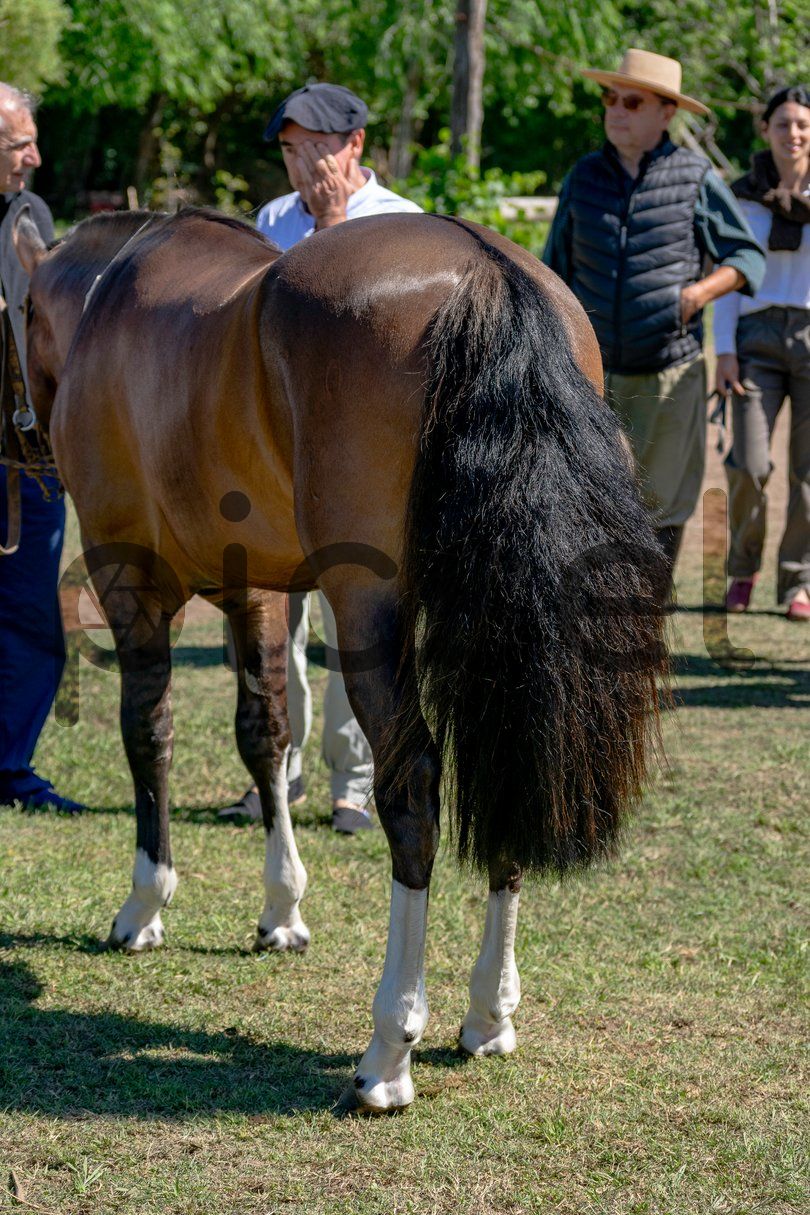 Photo of q4ic61ye9pq5w4731cvku1mq