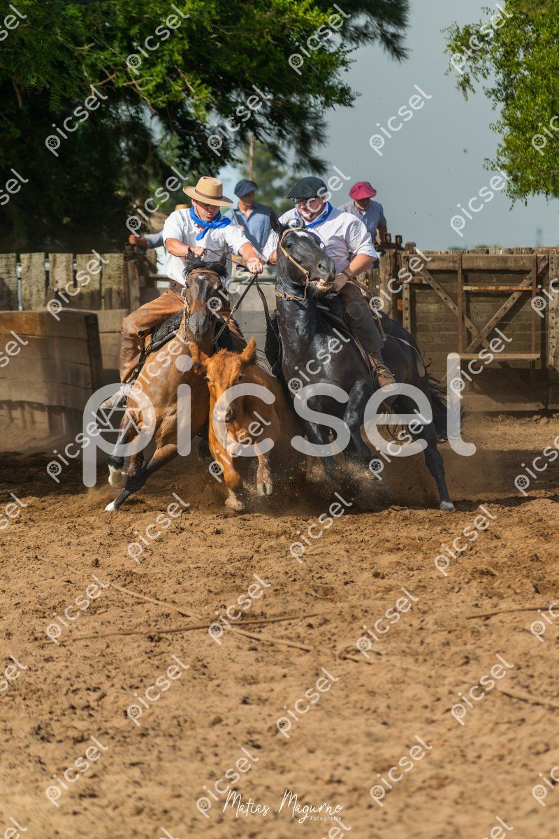 Photo of kxmryqhbhrt4kketcwd4q1v8