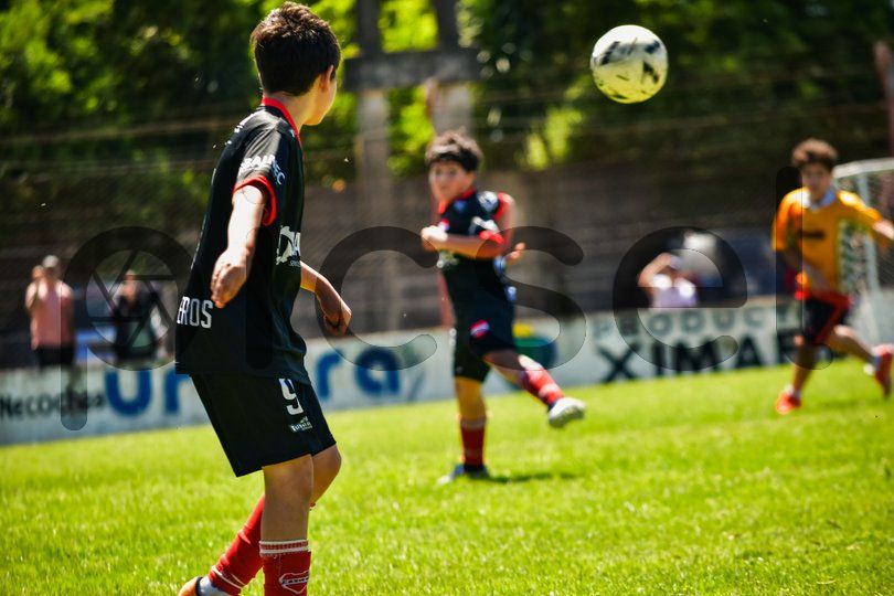 Photo of van6vmje7wo062o4ctm6x1b8