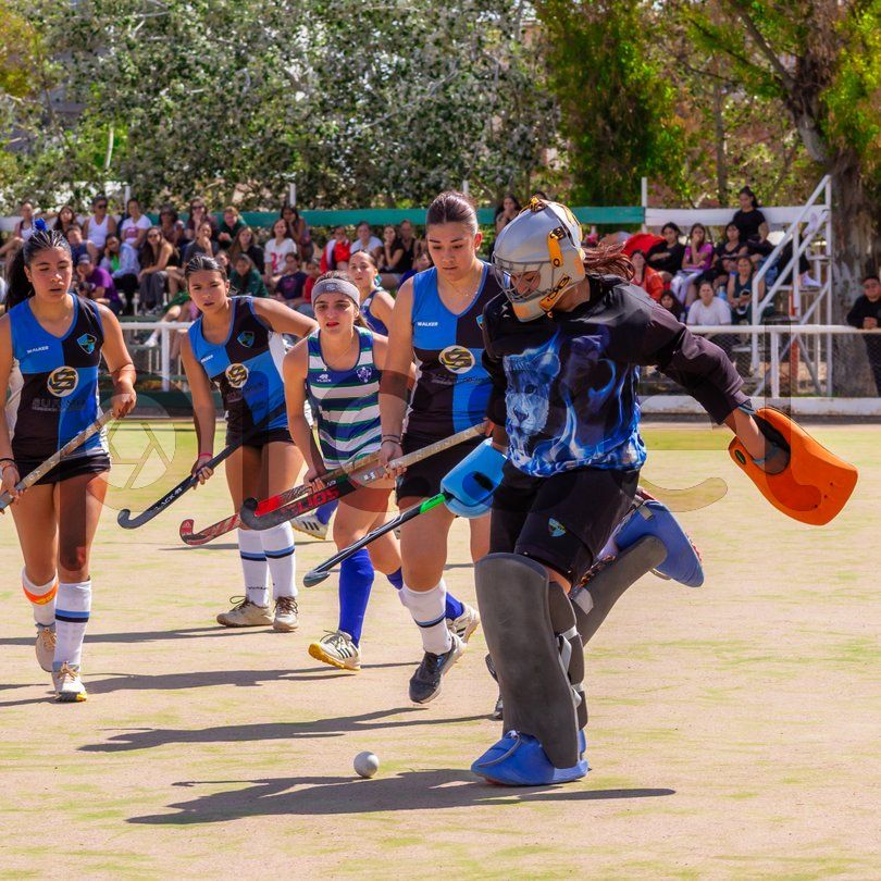 Photo of wk3vqdmoa39z06bxubpwnfay