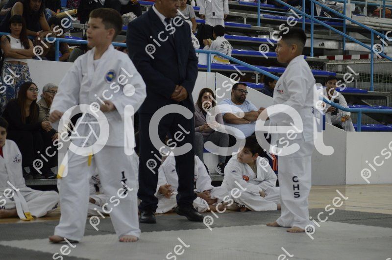 Photo of m896tur2qvq60oap2vidux0s