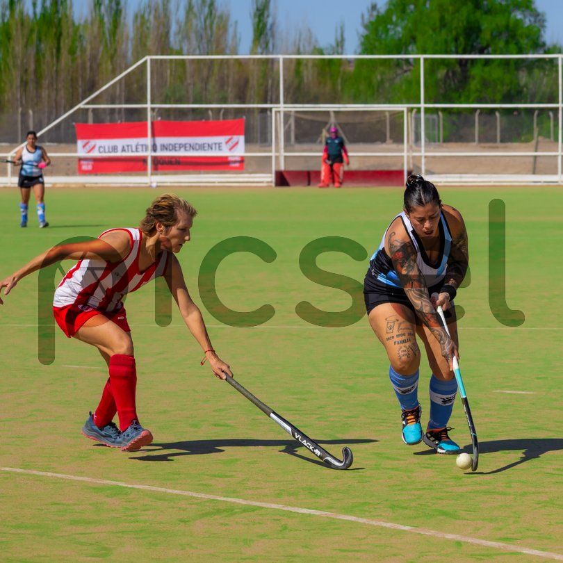Photo of uoagcmloa5et3h8vlemeo045