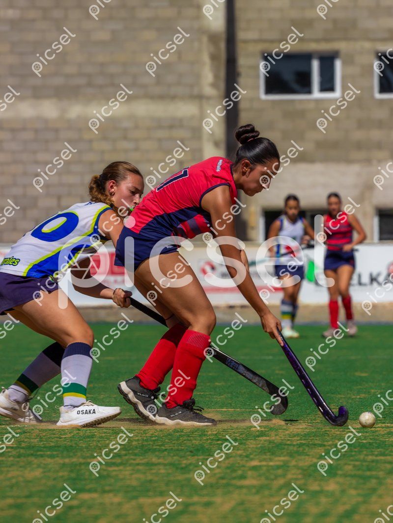 Photo of svknhtzxy33xlizduf7xbqai