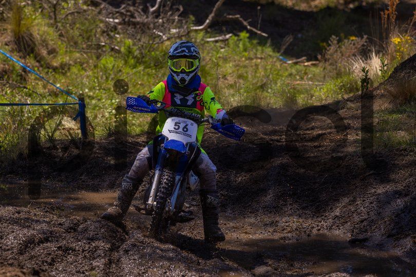 Photo of lephrz6em3ot08udmujbvps0