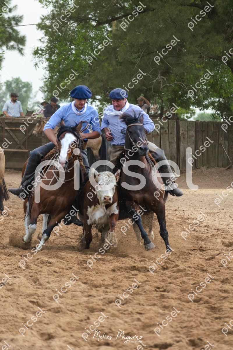 Photo of jsh24wcciuvqjls0ulr7icj0