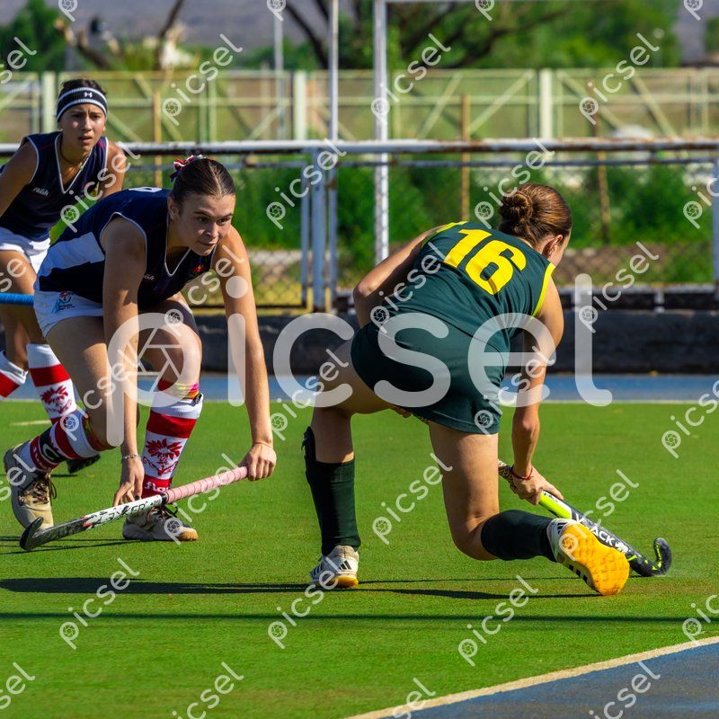 Photo of oshf72lo3hgw1j4m4i885lfn