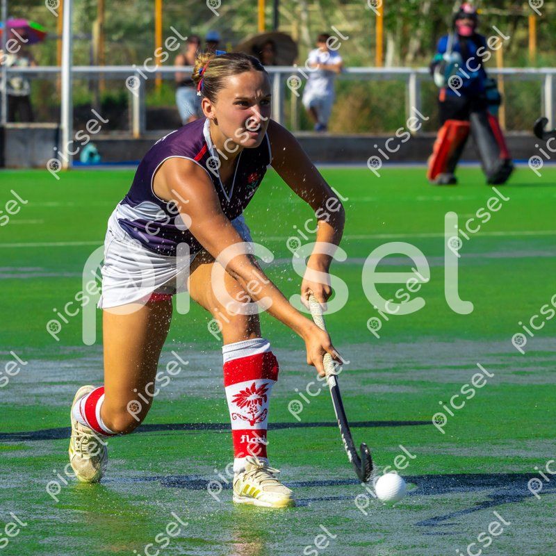 Photo of qg5czsxv8tknio0k02y5vahi