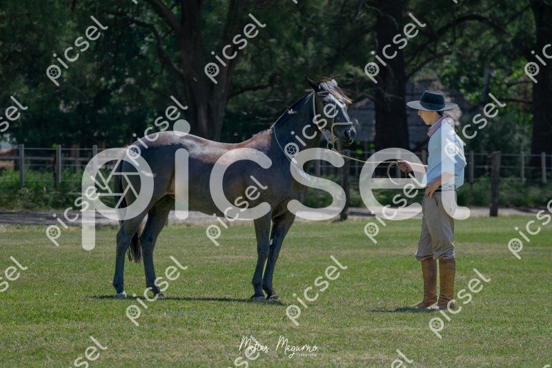 Photo of wtt9jnrp1u7hda6z1w7tuxi6