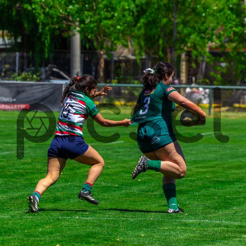 Photo of zvv73hrqdmyh6nosuy5v5phj