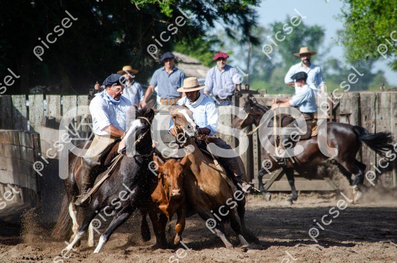 Photo of e36bzndx8zvkp1whtshws6gj