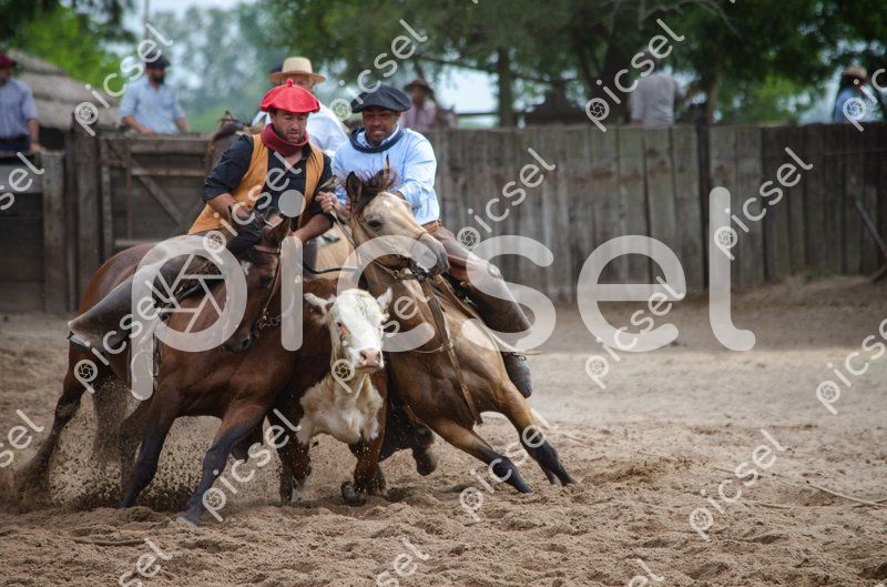 Photo of zx5fz9yq7tvx8xd0c2awe20g