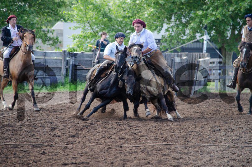 Photo of rwayfz72agu8yeoxhvx0ee2l