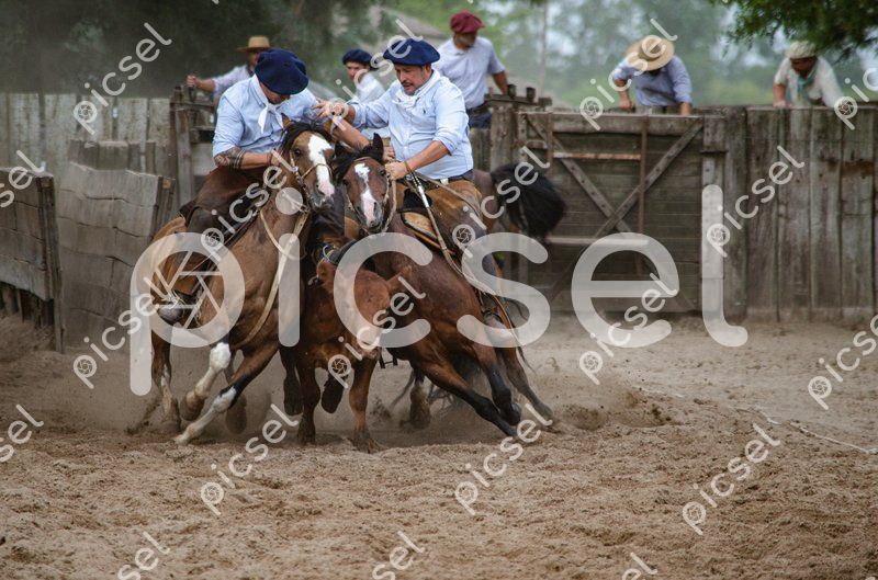 Photo of nywzurkq2ah619h5yy842xkw