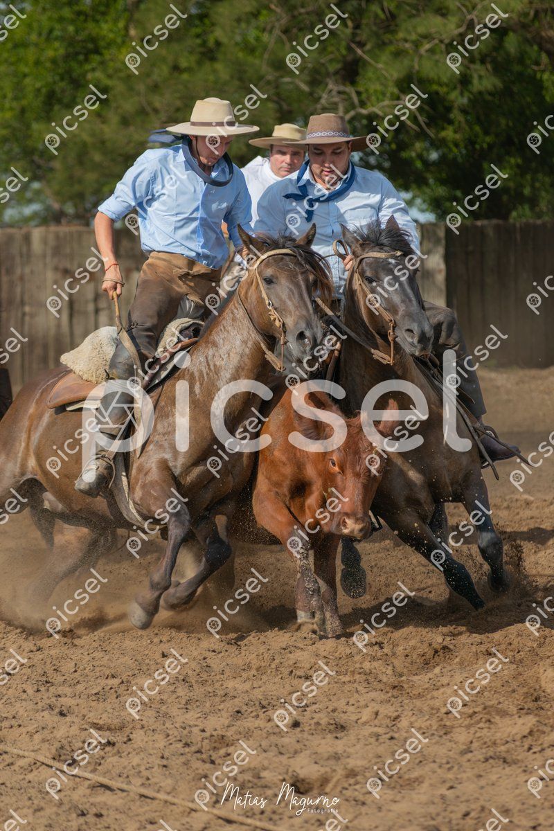 Photo of qdb7thrthcd02wkmktlrq33o