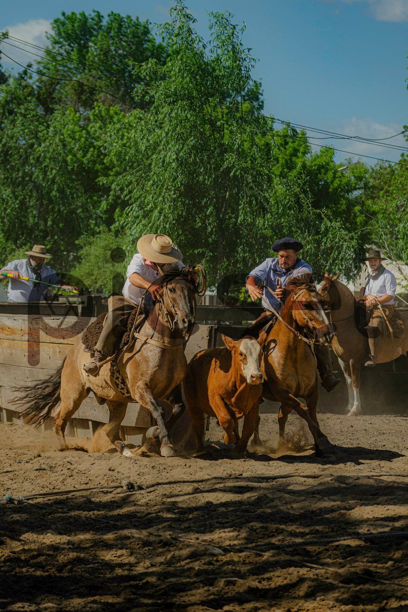 Photo of rq9tyii8ytfsmadyf8sq3iw1